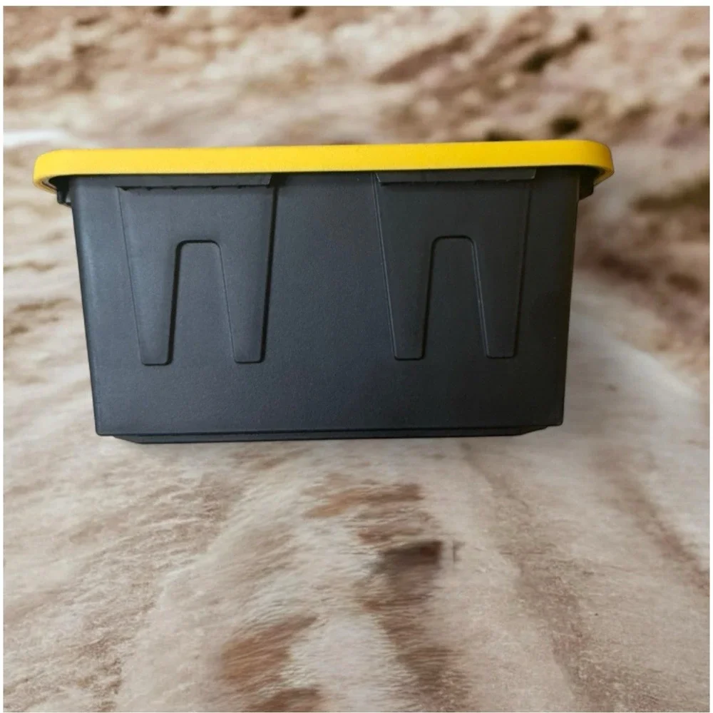 Lowe's Teeny Tote Mini Storage Container - Viral On Tiktok - Set Of 2